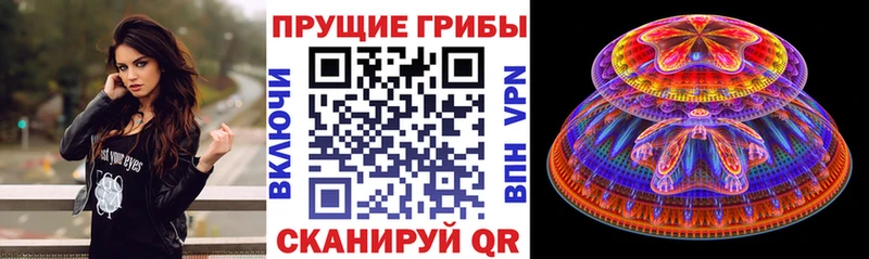 Галлюциногенные грибы MAGIC MUSHROOMS  мега маркетплейс  Сысерть 